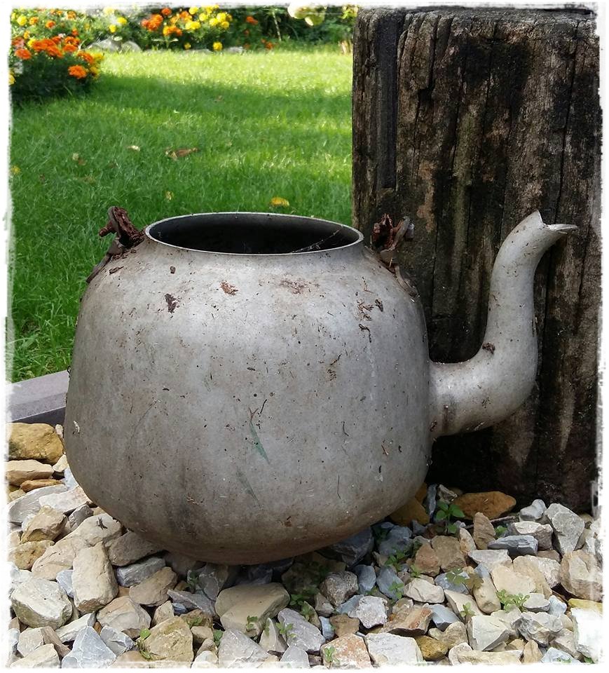 starocie w ogrodzie zogrodemnaty26