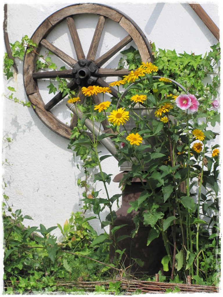 starocie w ogrodzie zogrodemnaty29