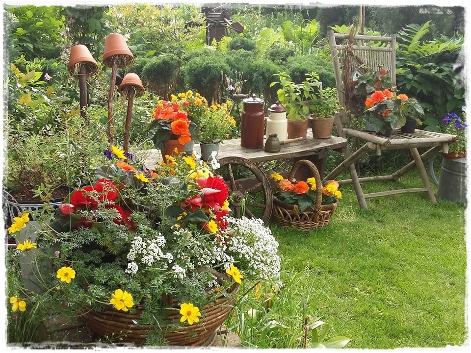 starocie w ogrodzie zogrodemnaty3