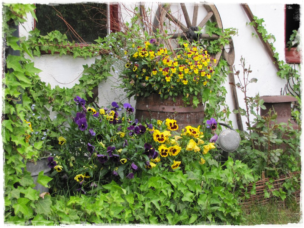 starocie w ogrodzie zogrodemnaty30