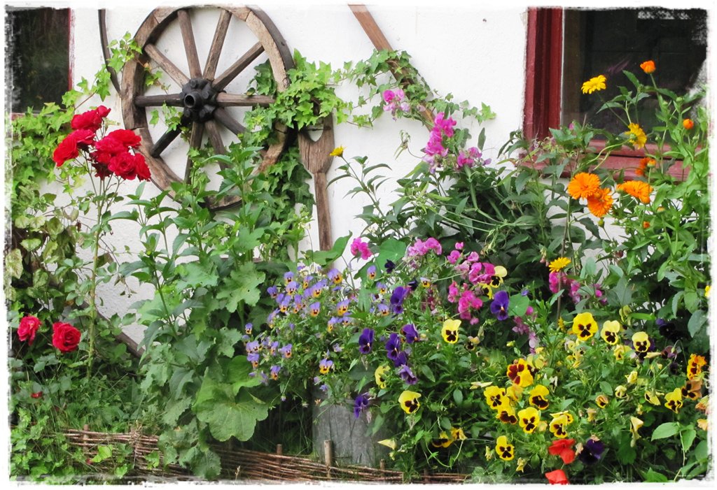 starocie w ogrodzie zogrodemnaty4