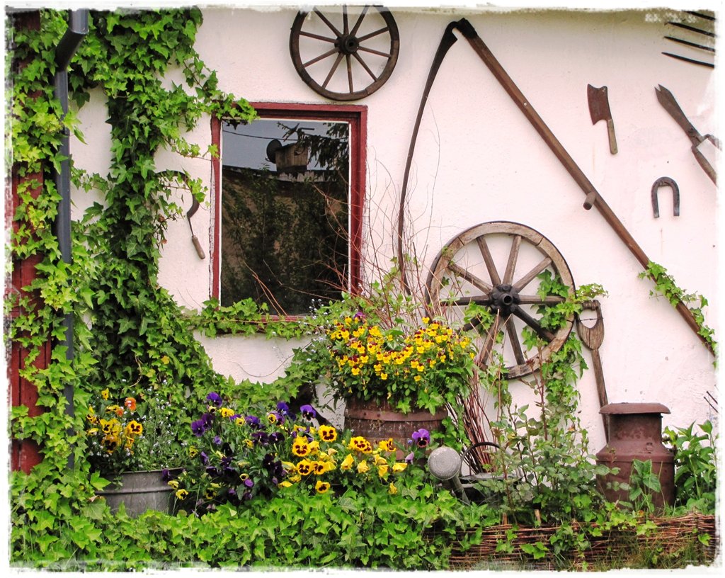 starocie w ogrodzie zogrodemnaty5