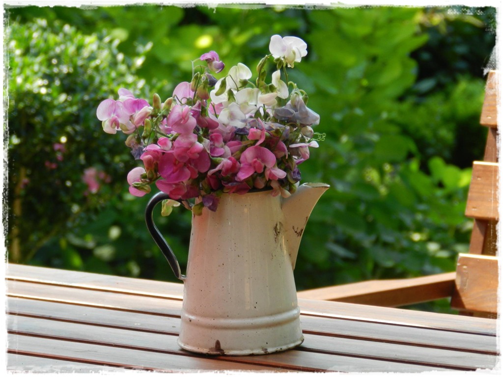 starocie w ogrodzie zogrodemnaty7