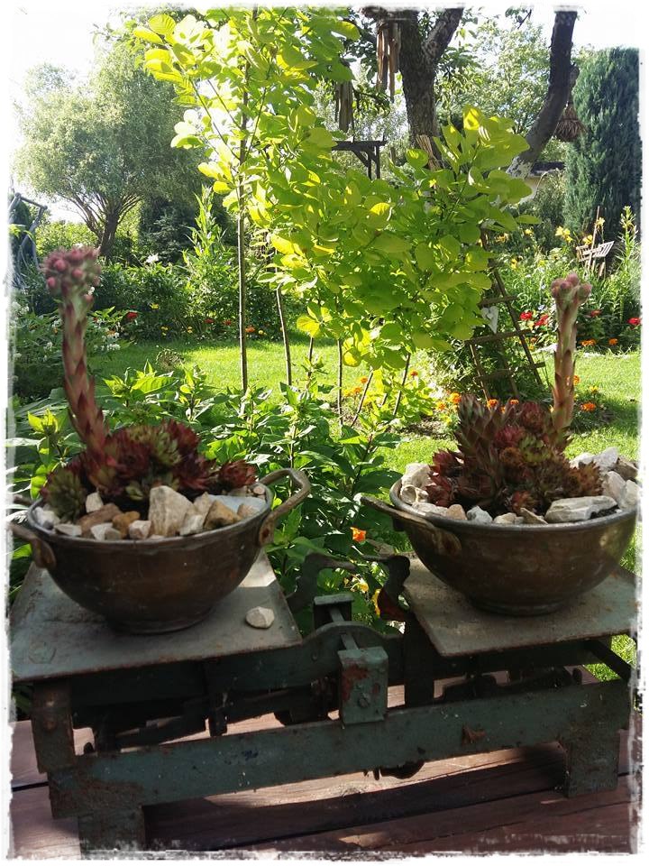 starocie w ogrodzie zogrodemnaty8