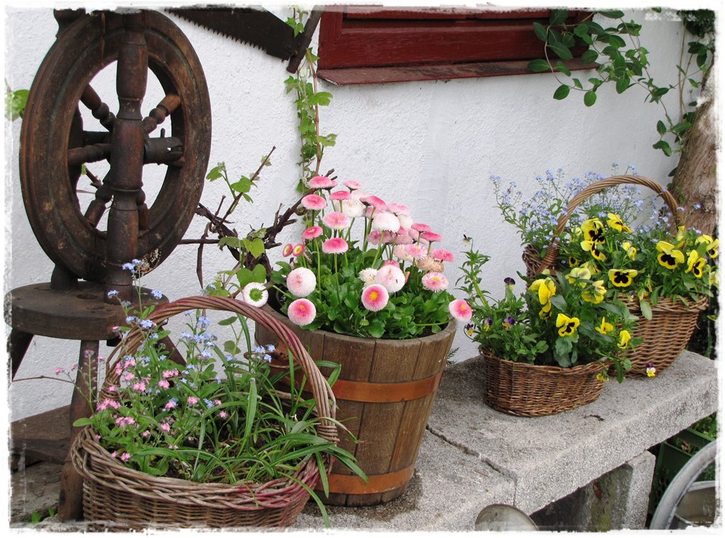 starocie w ogrodzie zogrodemnaty9