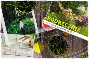 wyniesienie projektu ogrodu zogrodemnaty1