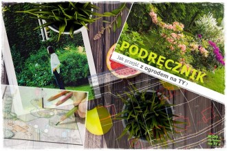 wyniesienie projektu ogrodu zogrodemnaty1