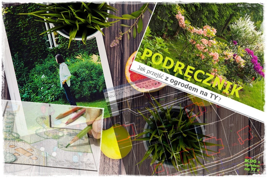 wyniesienie projektu ogrodu zogrodemnaty1