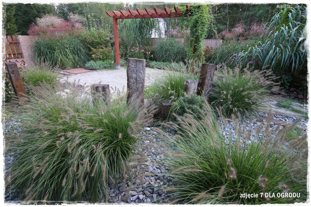 30trawy ozdobne zogrodemnaty