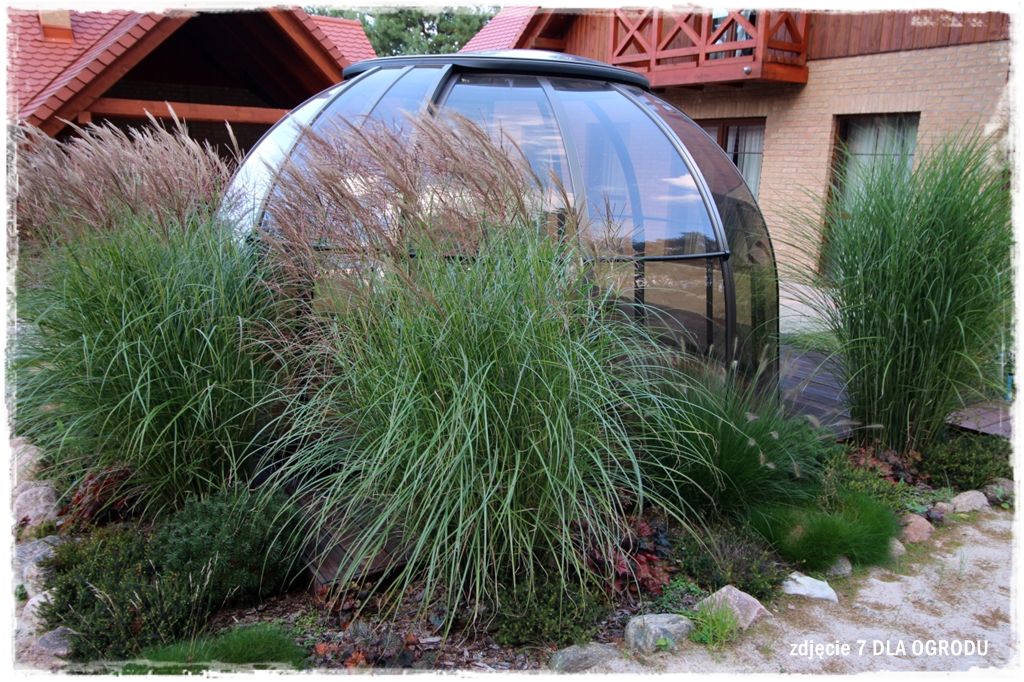 33trawy ozdobne zogrodemnaty