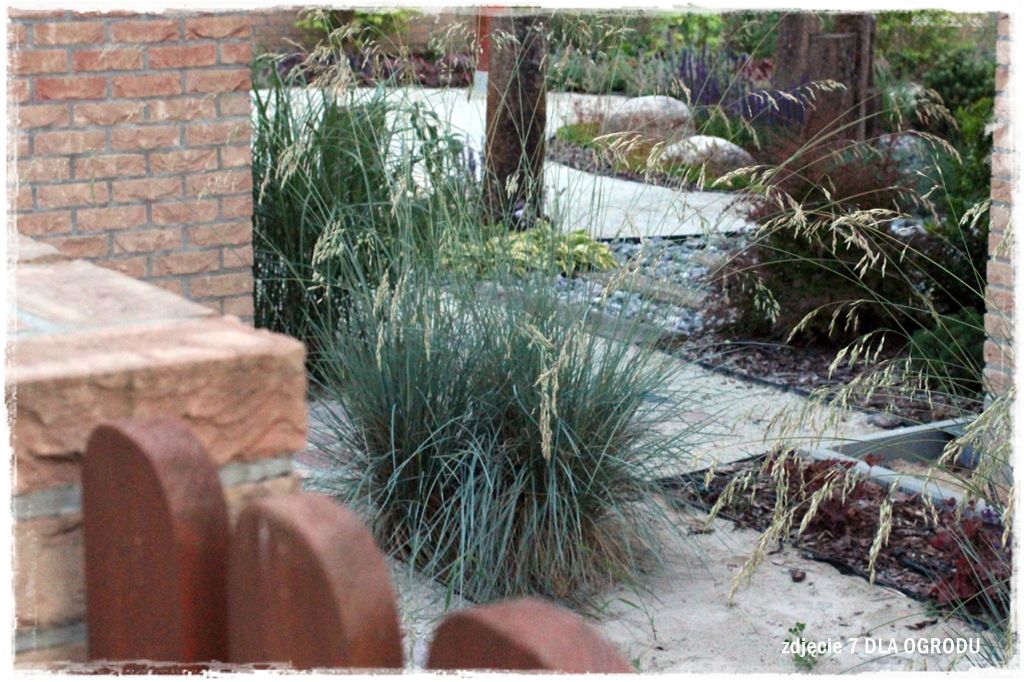 34trawy ozdobne zogrodemnaty