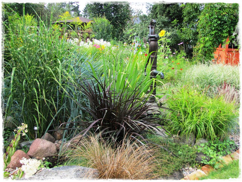 35trawy ozdobne zogrodemnaty