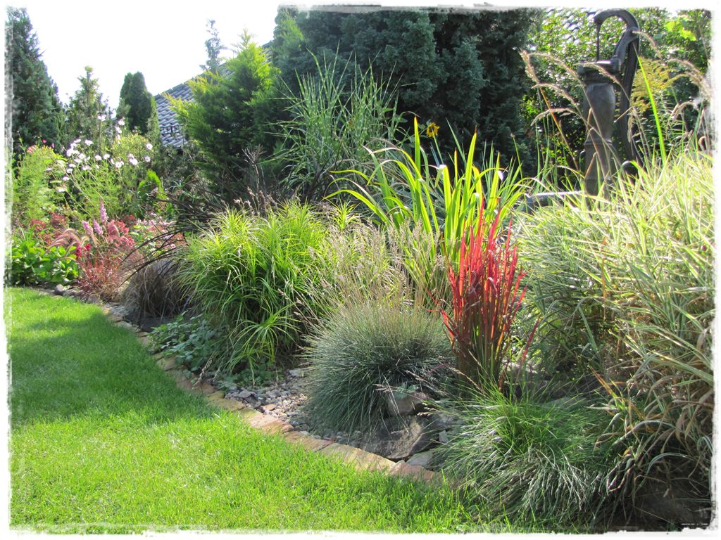 37trawy ozdobne zogrodemnaty