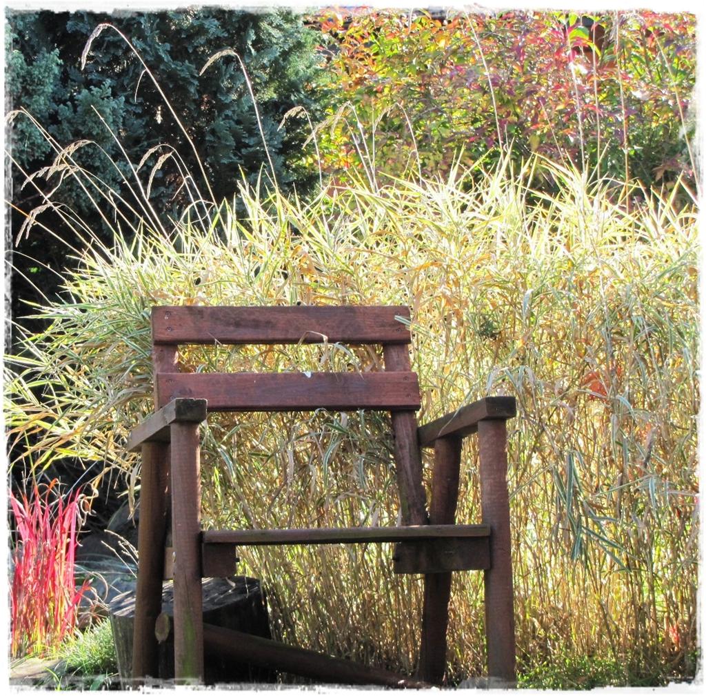 38trawy ozdobne zogrodemnaty