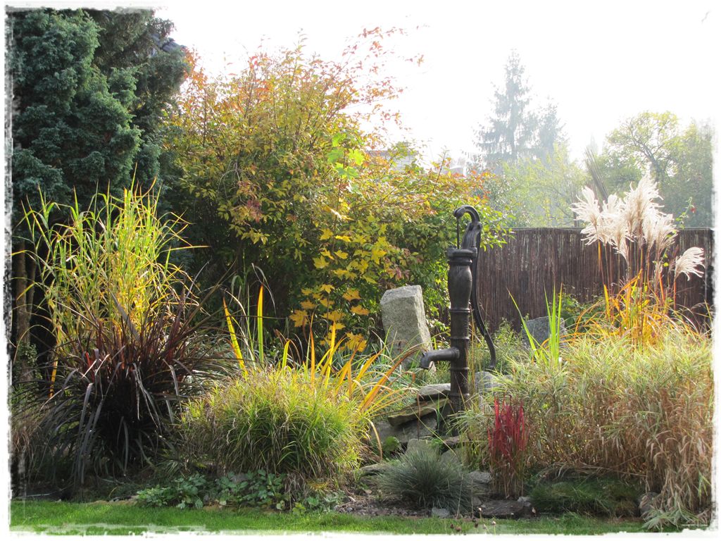 6trawy ozdobne zogrodemnaty