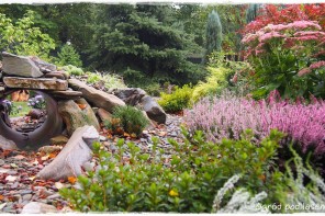 Ogrodowy tunel do zabawy dla psa zogrodemnaty1