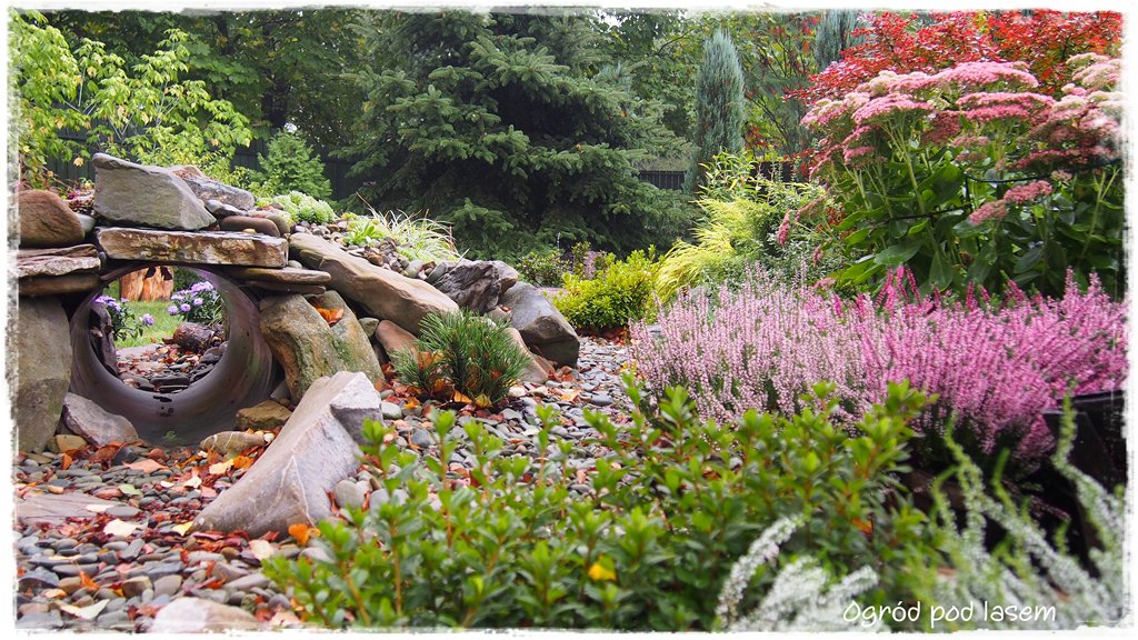 Ogrodowy tunel do zabawy dla psa zogrodemnaty1