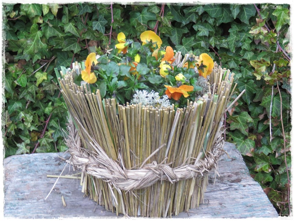 kwiaty kwitnące wczesną wiosną zogrodemnaty21