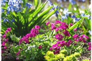 f824cfbe7e97288c01c78393ac9f60e5