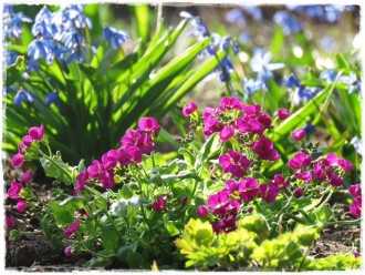 f824cfbe7e97288c01c78393ac9f60e5