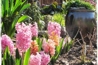 kamionkowe gary zogrodemnaty1