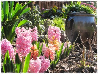 kamionkowe gary zogrodemnaty1