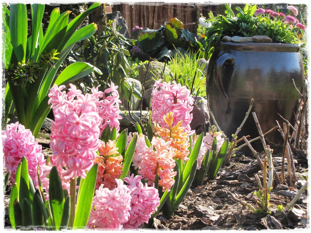 kamionkowe gary zogrodemnaty1