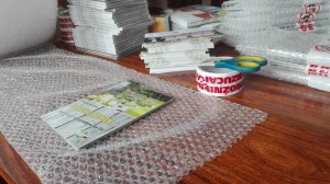 jak przejść z ogrodem na ty 37