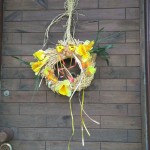 17492987_10212656058865880_1322623112303936041_o