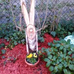 17834798_403182823391899_34143421775524802_o