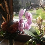 17880397_720914451421076_625697632153956788_o