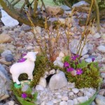 17903657_1897581833601408_5373396669807628628_n