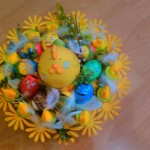 17917994_405059273204254_6756515962908554739_o