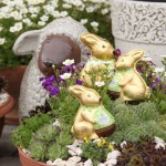 17966504_1852183561698311_7024346701936989687_o