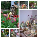 17966792_787045804797896_3671303634612552449_o