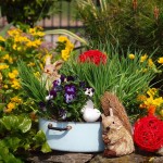 17966891_1395909247122826_6894322896607532970_o