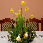 17966980_1285236841552476_5216236795154110004_o