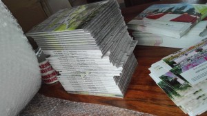 jak przejść z ogrodem na ty 35