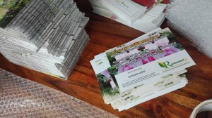 jak przejść z ogrodem na ty 41