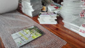 jak przejść z ogrodem na ty 33