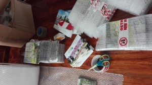 jak przejść z ogrodem na ty 39