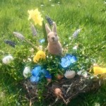 zdjęcie na konkurs,Oliwia Bryk