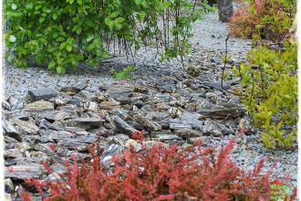 kora kamienna zogrodemnaty1