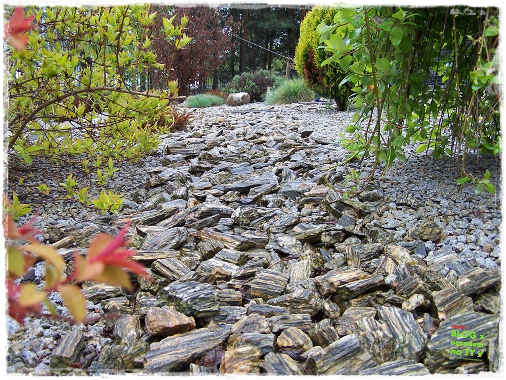 kora kamienna zogrodemnaty11