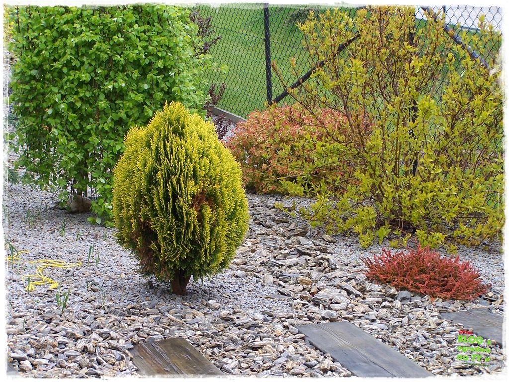 kora kamienna zogrodemnaty12