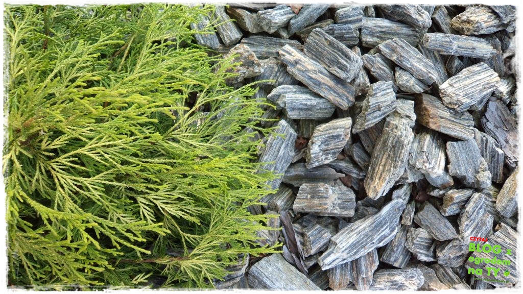 kora kamienna zogrodemnaty2