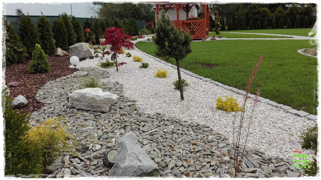 kora kamienna zogrodemnaty21