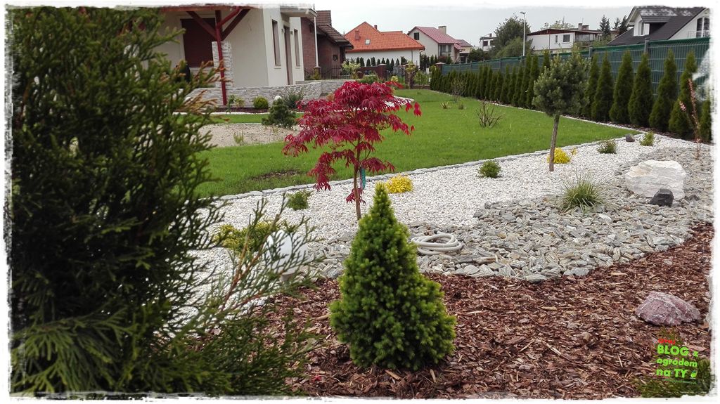 kora kamienna zogrodemnaty22