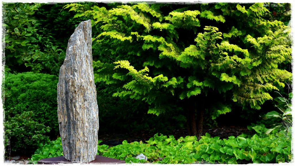 kora kamienna zogrodemnaty25