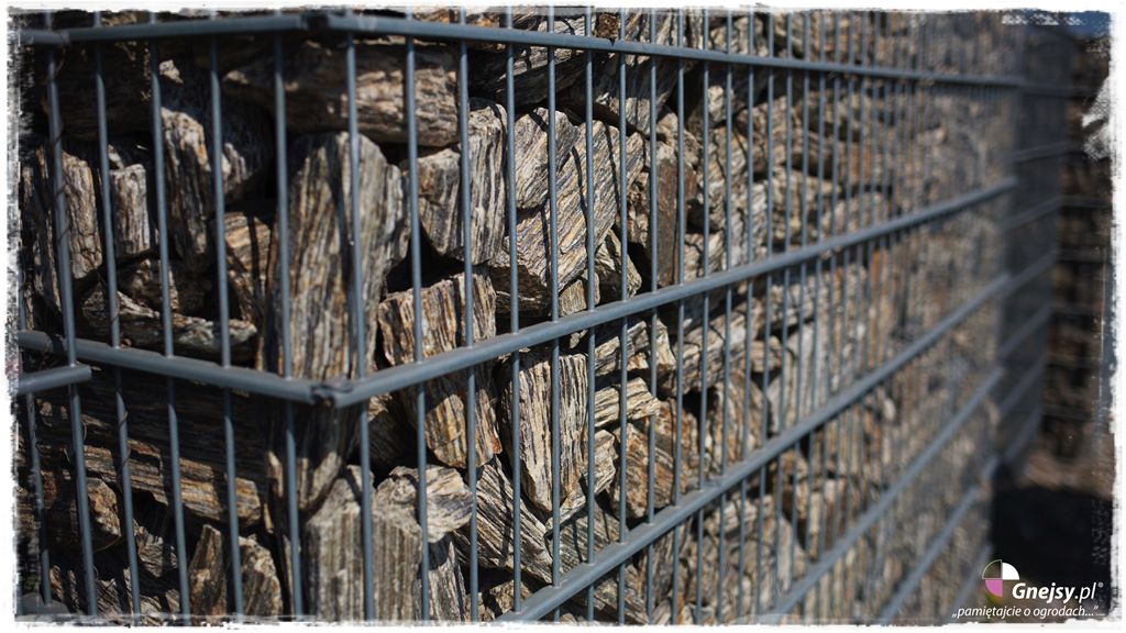 kora kamienna zogrodemnaty4